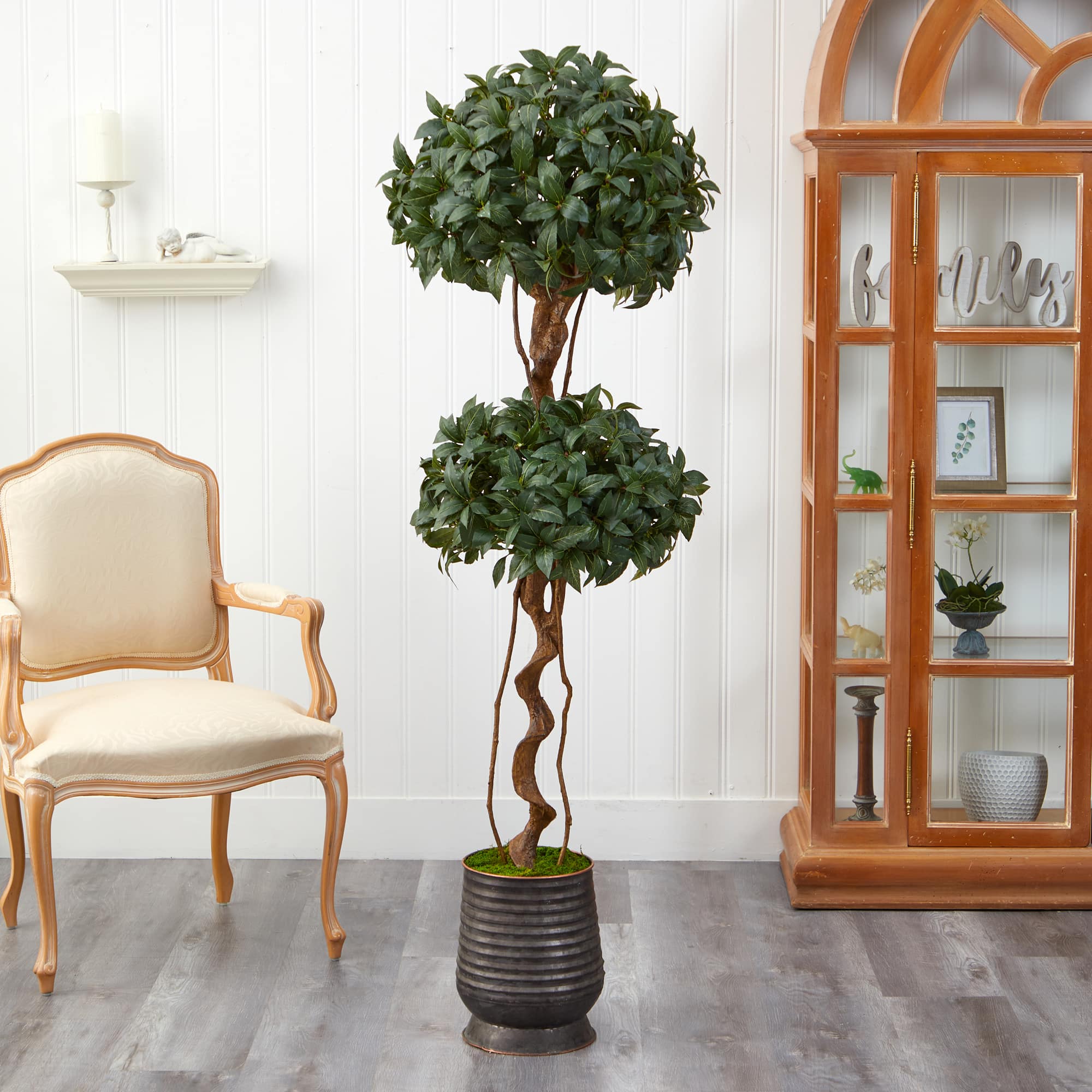 5.5ft. Sweet Bay Double Ball Topiary Tree in Ribbed Metal Planter